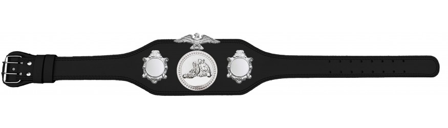 JIU JITSU CHAMPIONSHIP BELT-BUD004/S/JJS-4 COLOURS